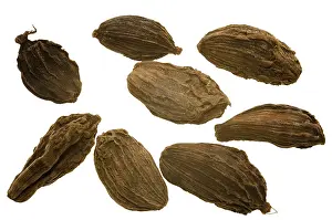 Cardamom Spice Drucke: Cardamom