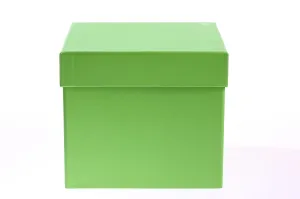 Gift Box Close Up Drucke: Cardboard box, gift box
