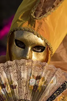 Deserted Venice Streets Drucke: Carnival in Venice