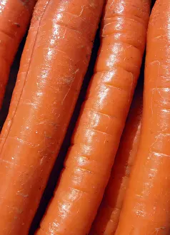Orange Colored Vegetables Drucke: Carrots