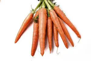 Grocery Store Produce Drucke: Carrots