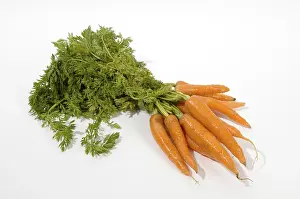 Exposed Food Photography Drucke: Carrots