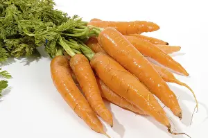 Vegetable Meal Ideas Drucke: Carrots