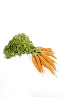 Isolated Food Photos Drucke: Carrots