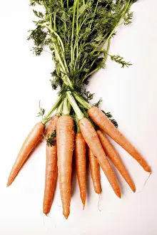 Grocery Store Produce Drucke: Carrots