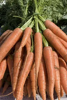 Vegetable Health Benefits Drucke: Carrots