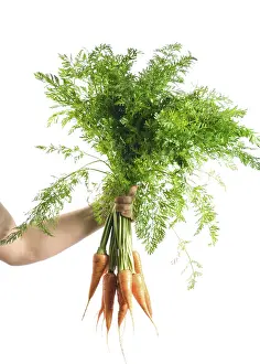 Nutrition Meal Ideas Drucke: Carrots in hand isolated on white background