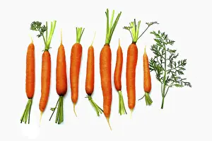 Full Length Food Photography Drucke: Carrots against a white background