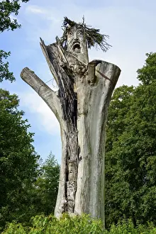 Polish Travel Photography Drucke: Carved faces on dead tree trunk