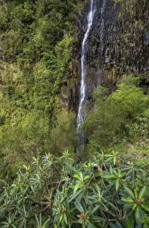 Deserted Waterfall In Madeira Drucke: Cascata do Risco waterfall, Rabacal