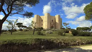 Medieval Fortification Drucke: Castel del Monte