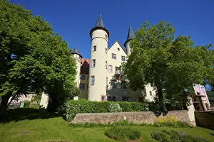 Historic German Castles Drucke: Castle surrounded by large trees
