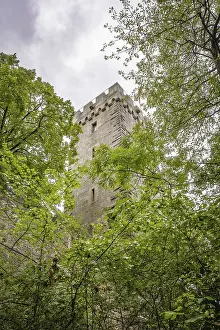 Deserted Castle In Germany Drucke: Castle tower in the forest, Weiler