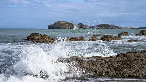 North Island Beaches NZ Drucke: Castlepoint Beach and Castlepoint Lighthouse