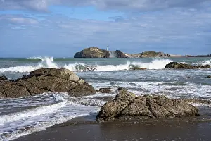Deserted Beach In New Zealand Drucke: Castlepoint Beach and Castlepoint Lighthouse