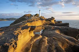 Rocky Shore Landscape Drucke: Castlepoint lighthouse on a rock