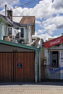 Latin America Photography Drucke: Castro, Chiloe, Chile