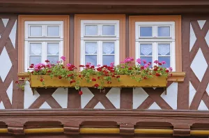 East Germany Cityscape Drucke: Window in Wernigerode