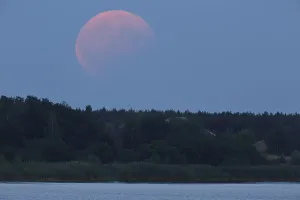 Evening Atmosphere In Nature Reserve Drucke: Partial lunar eclipse on 07/08/2017