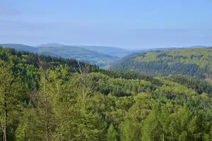 Uninhabited Deciduous Woods Drucke: Forest, valley, deciduous forest
