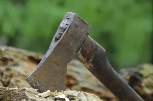 Uninhabited Forest Photography Drucke: Rusty old axe in the forest