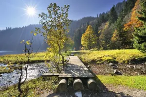 Daytime Lake Scenery Drucke: Boardwalk over the Seebach Stream