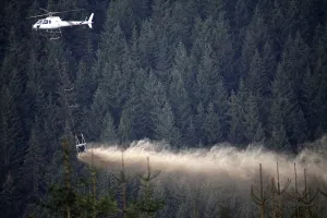Coniferous Forest Management Drucke: To prevent acidification of the forest floor