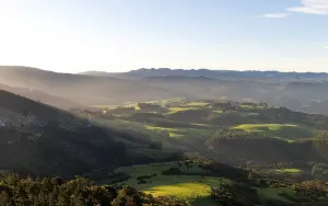 Uninhabited Nature Reserve NZ Drucke: View from Mount Cargill of meadows and forests