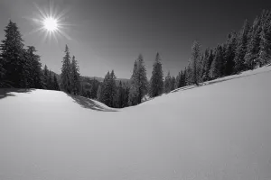 Winter Forest Photography Drucke: Winter forest with mountain range in backlight