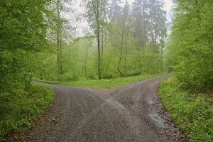 Severe Weather Photography Drucke: Forest path, fork, beech forest