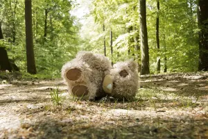 Teddy wird auf einem Waldweg zurückgelassen.