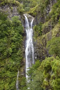UNESCO World Heritage Site Waterfalls Drucke: Risco waterfall, Cascata do Risco