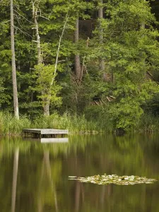 Southern Germany Water Body Drucke: Small jetty at the Eisweiher lake