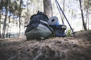 Forest Photography Drucke: Backpack camera near tree