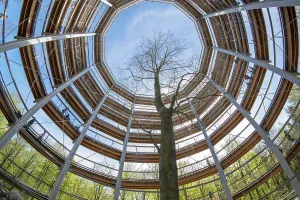 Deserted Nature Trail Drucke: Tree trail in the Steigerwald, Ebrach