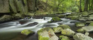 Harz National Park Landscape Drucke: The Bode in the Bode Valley near Thale