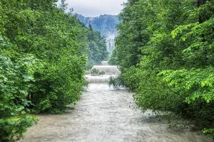 Southern Germany Waterfront Scenes Drucke: A river with strong rapids between dense