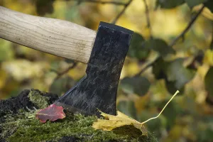 Deserted Tree Trunk Scene Drucke: Axe embedded halfway into a tree log