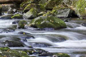 German Mountain Creek Drucke: Bode in the Harz River Landscape