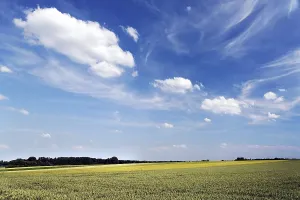 Grainfield Landscape Drucke: Clouds