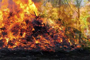 Eco Friendly Environment Drucke: Forest fire the consequence of global warming