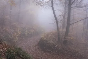 Colourful Autumn Leaves Drucke: A forest path in a deciduous forest