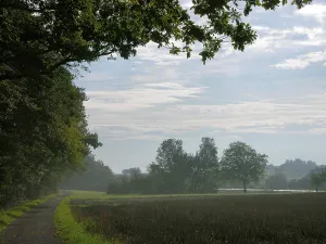 Country Lane Scenery Drucke: Path at the edge of the forest