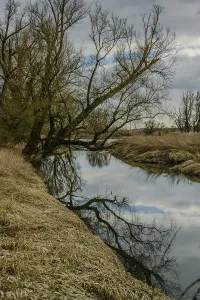 Lower Bavaria Nature Scene Drucke: A river with reflecting trees and cloudy sky