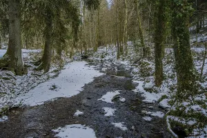 European Wintry Landscape Drucke: A small stream flows through a forest