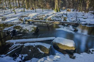 Winter Scene In Europe Drucke: A small stream flows through the forest