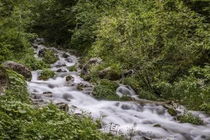 Uninhabited Mountain Creek Drucke: Sources at Steyrursprung, Hinterstoder