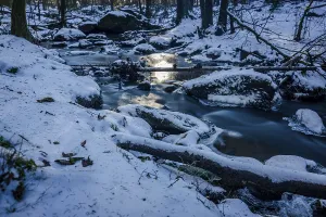 Water Surface Reflection Photography Drucke: A stream flows gently through a forest