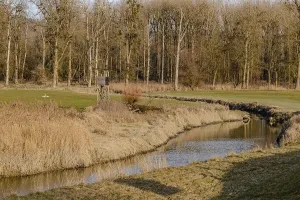 Water Body Landscape Drucke: Stream flows through a landscape with trees and fields