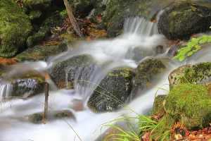 Time Exposure Photography Europe Drucke: Stream in the forest, rock, long exposure